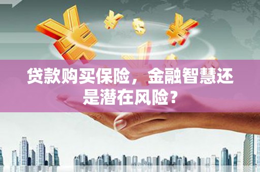 顺平贷款购买保险，金融智慧还是潜在风险？
