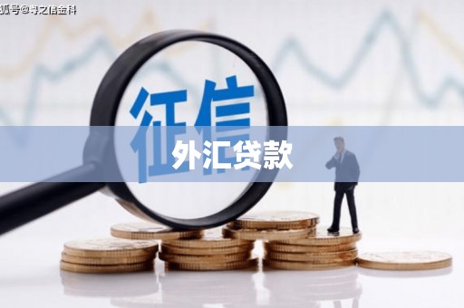 顺平外汇贷款