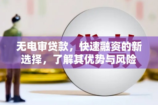 顺平无电审贷款，快速融资的新选择，了解其优势与风险