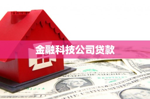 顺平金融科技公司贷款
