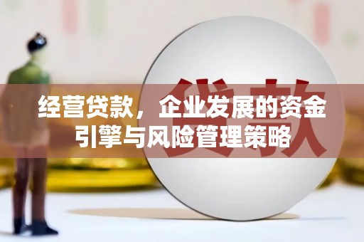 顺平经营贷款，企业发展的资金引擎与风险管理策略