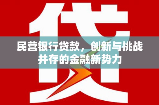顺平民营银行贷款，创新与挑战并存的金融新势力