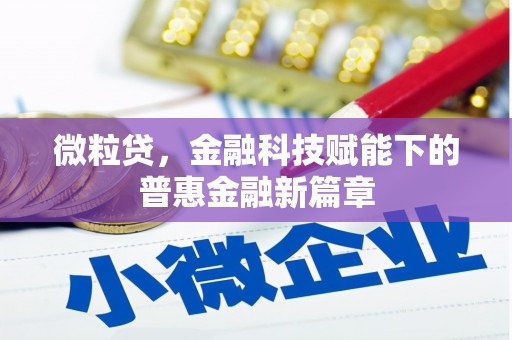 顺平微粒贷，金融科技赋能下的普惠金融新篇章