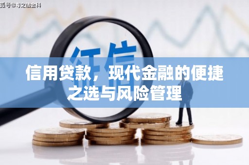 顺平信用贷款，现代金融的便捷之选与风险管理