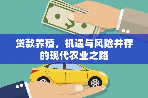 顺平贷款养殖，机遇与风险并存的现代农业之路