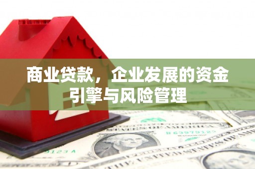 顺平商业贷款，企业发展的资金引擎与风险管理