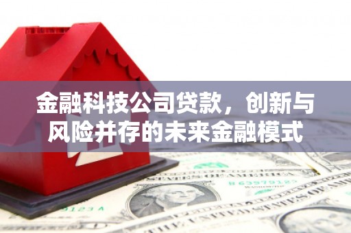 顺平金融科技公司贷款，创新与风险并存的未来金融模式