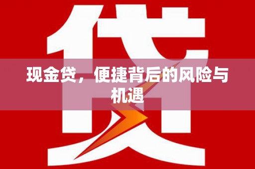 顺平现金贷，便捷背后的风险与机遇