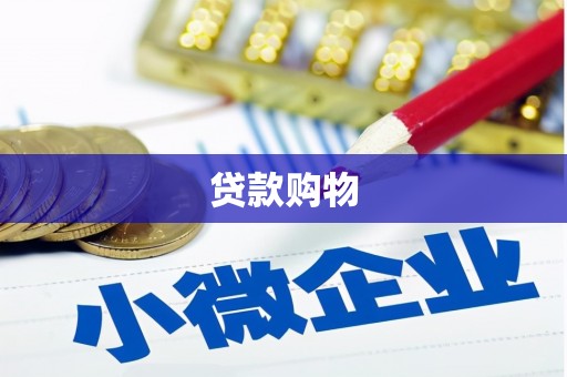 顺平贷款购物