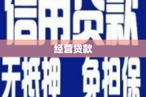 顺平经营贷款