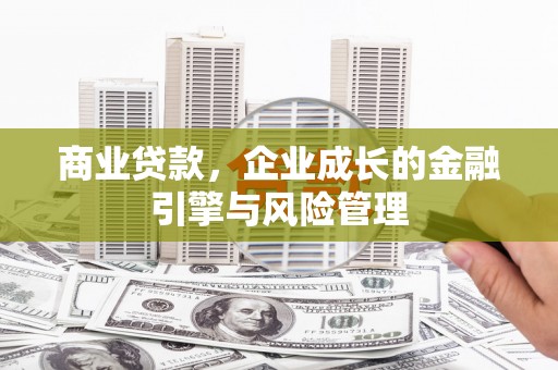 顺平商业贷款，企业成长的金融引擎与风险管理