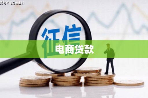 顺平电商贷款