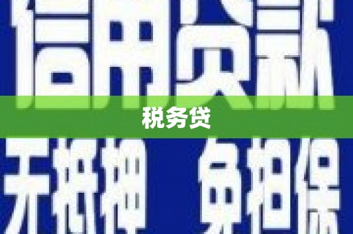 顺平税务贷