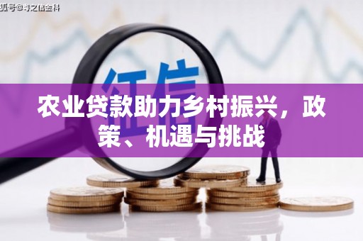 顺平农业贷款助力乡村振兴，政策、机遇与挑战