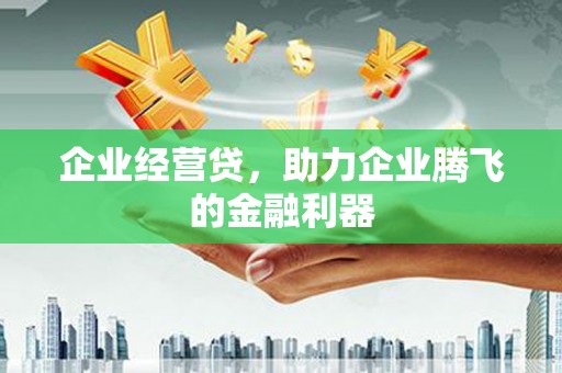顺平企业经营贷，助力企业腾飞的金融利器
