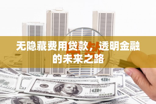 顺平无隐藏费用贷款，透明金融的未来之路