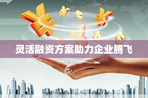 顺平灵活融资方案助力企业腾飞