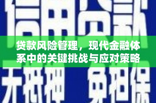 顺平贷款风险管理，现代金融体系中的关键挑战与应对策略