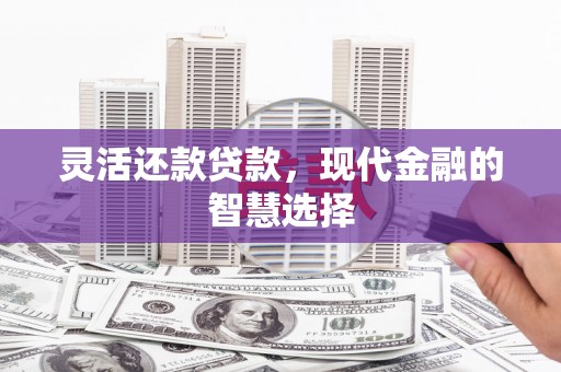 顺平灵活还款贷款，现代金融的智慧选择