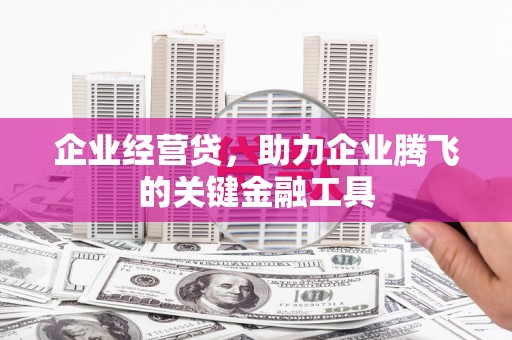 顺平企业经营贷，助力企业腾飞的关键金融工具
