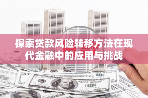 顺平探索贷款风险转移方法在现代金融中的应用与挑战