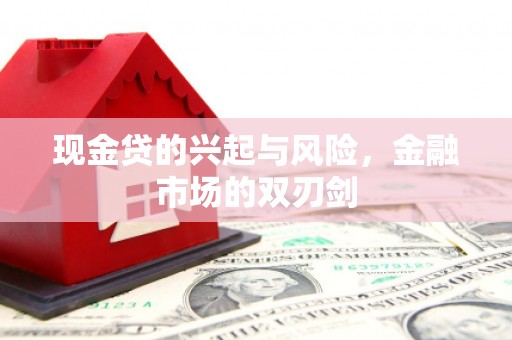 顺平现金贷的兴起与风险，金融市场的双刃剑