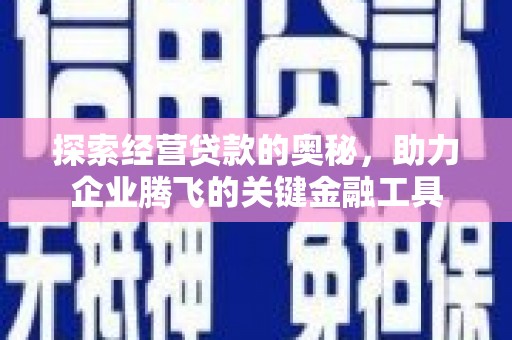 顺平探索经营贷款的奥秘，助力企业腾飞的关键金融工具