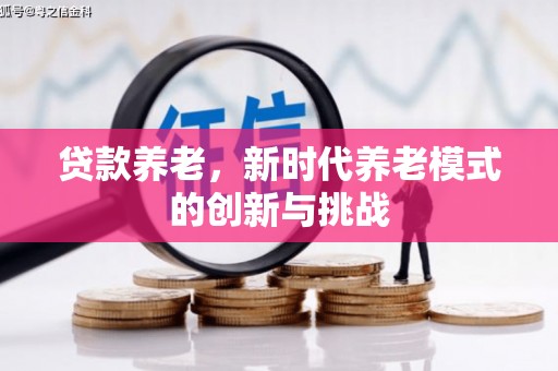 顺平贷款养老，新时代养老模式的创新与挑战