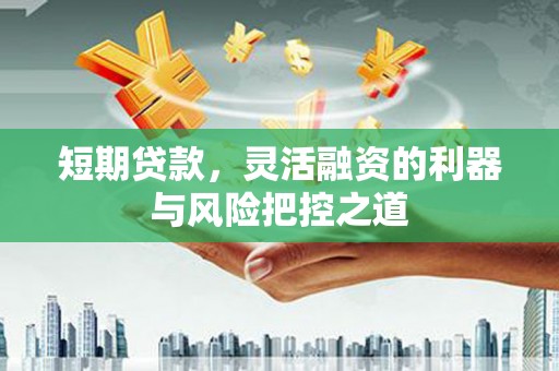 顺平短期贷款，灵活融资的利器与风险把控之道