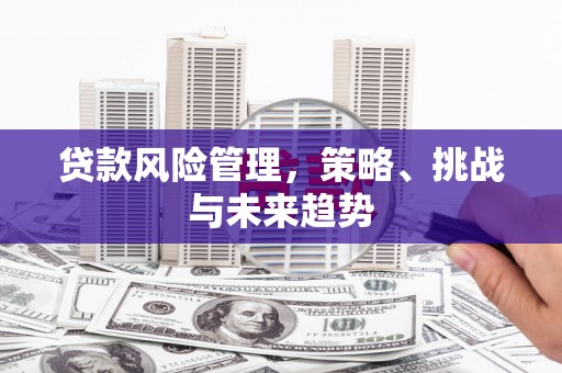 顺平贷款风险管理，策略、挑战与未来趋势