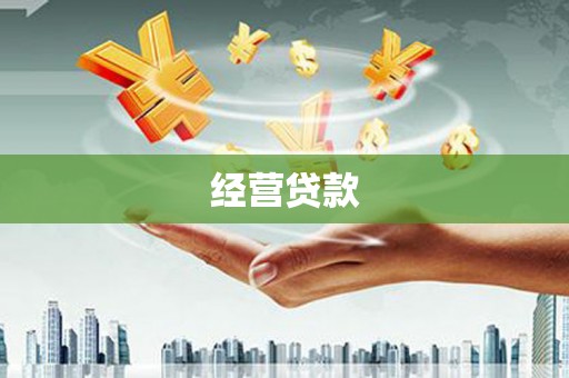 顺平经营贷款