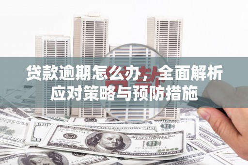 顺平贷款逾期怎么办，全面解析应对策略与预防措施