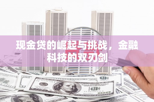 顺平现金贷的崛起与挑战，金融科技的双刃剑