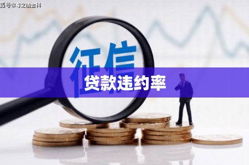 顺平贷款违约率