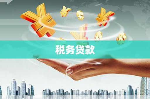 顺平税务贷款