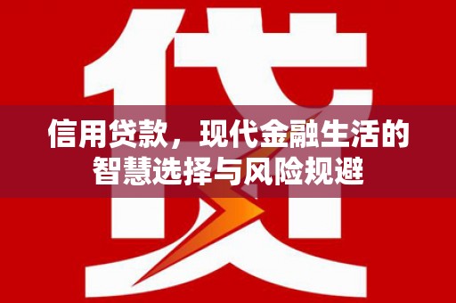 顺平信用贷款，现代金融生活的智慧选择与风险规避