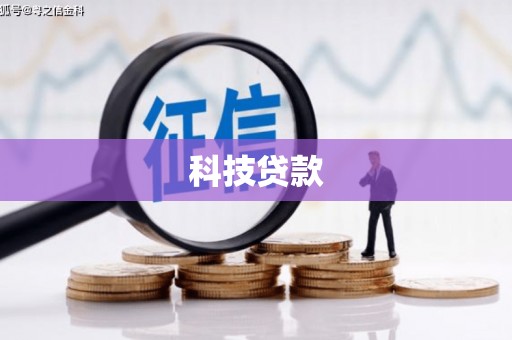 顺平科技贷款