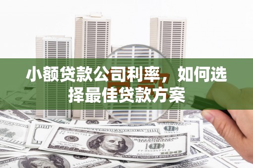 顺平小额贷款公司利率，如何选择最佳贷款方案