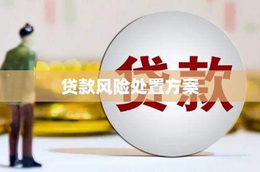 顺平贷款风险处置方案
