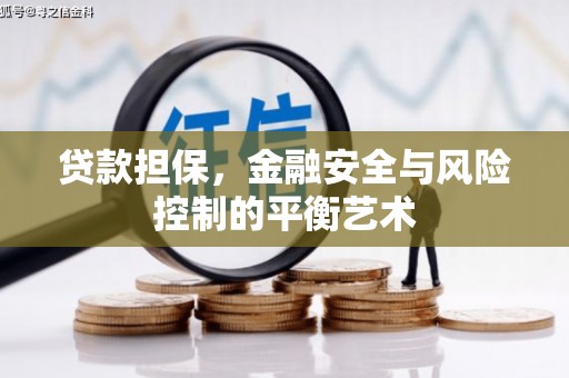 顺平贷款担保，金融安全与风险控制的平衡艺术