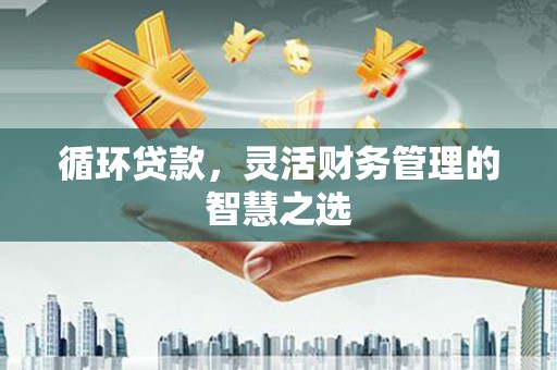 顺平循环贷款，灵活财务管理的智慧之选