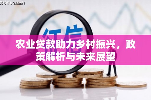 顺平农业贷款助力乡村振兴，政策解析与未来展望