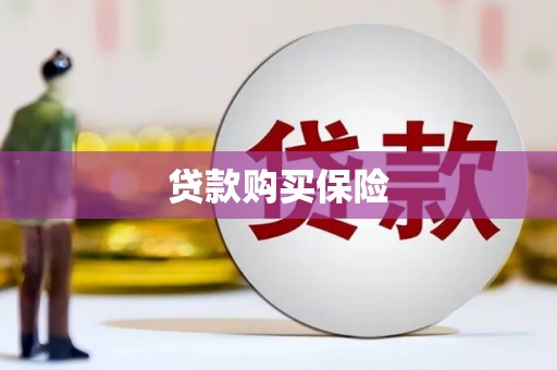 顺平贷款购买保险
