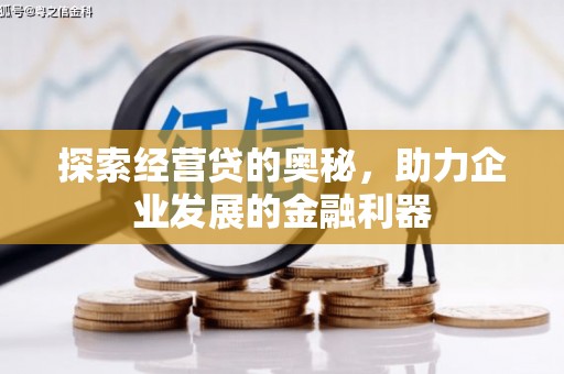 顺平探索经营贷的奥秘，助力企业发展的金融利器
