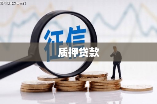 顺平质押贷款