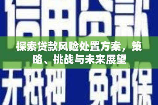 顺平探索贷款风险处置方案，策略、挑战与未来展望