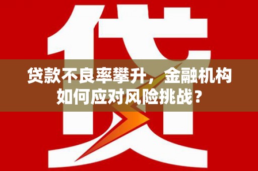 顺平贷款不良率攀升，金融机构如何应对风险挑战？