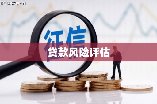 顺平贷款风险评估