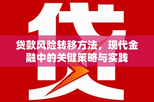 顺平贷款风险转移方法，现代金融中的关键策略与实践