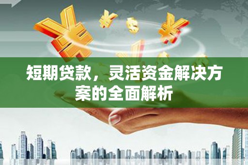 顺平短期贷款，灵活资金解决方案的全面解析